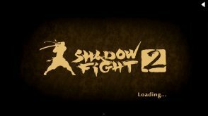 Shadow fight 2   