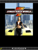 Street Race World 3D