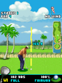 ���������� ���������� ���� �� ������� - Pro Golf 2007