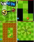 Twin Spin