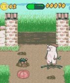Farm Party