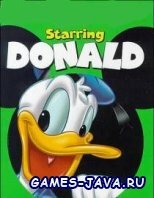 ���� �� ������� 240 �� 320 - Starring Donald Duck